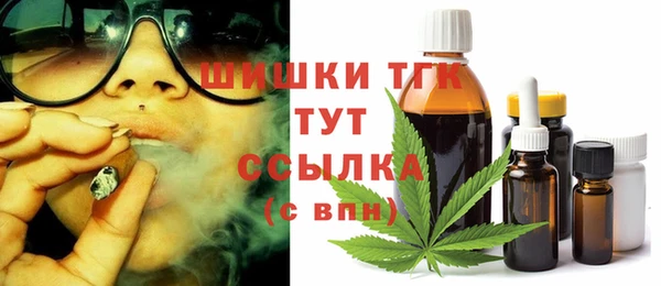 таблы Богородицк