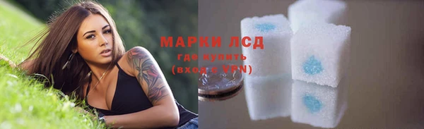 таблы Богородицк